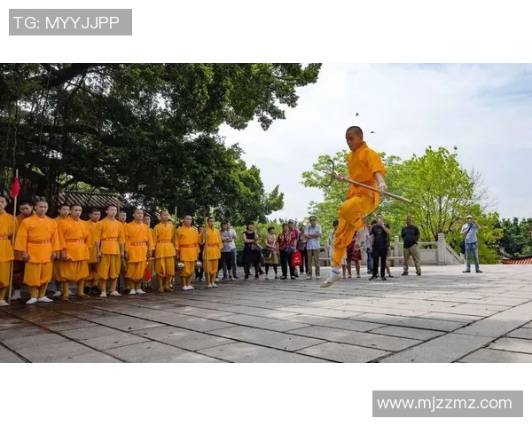 广州攀岩队区域防守体系解析与战术应用探讨