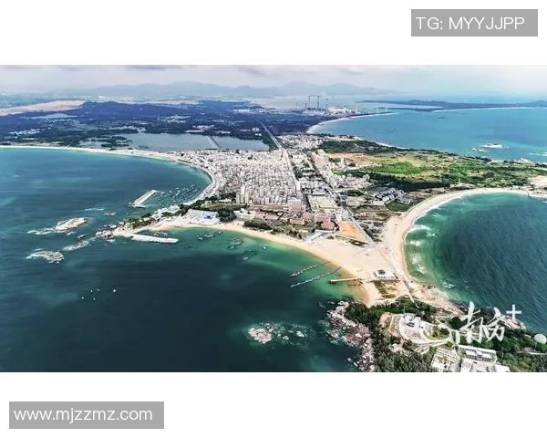 极限运动战术解析北京极限运动队快攻体系的创新与实践